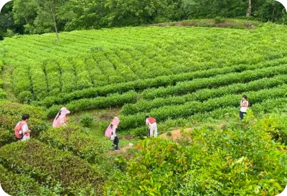 活力农耕