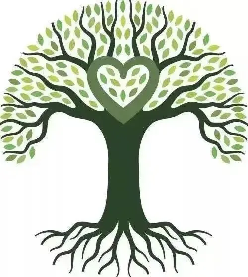 Light education course illustration